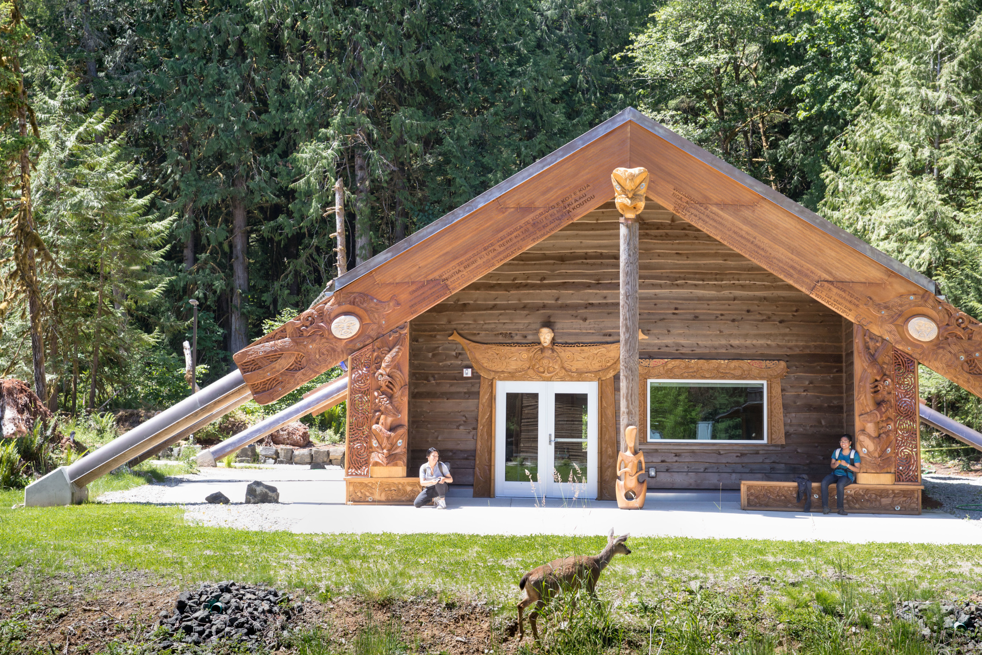 Evergreen Fiber Arts Studio