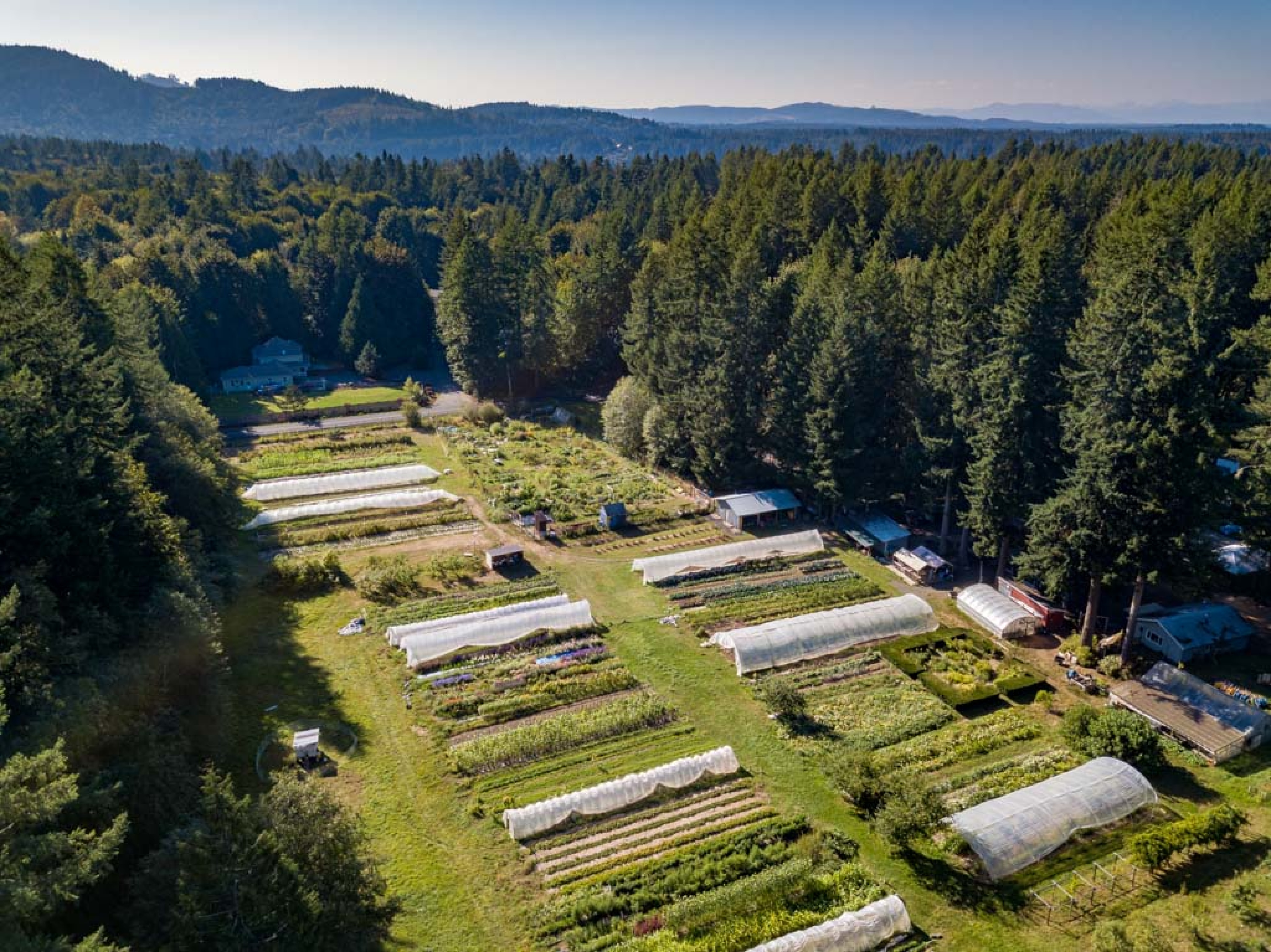 Evergreen Organic Farm