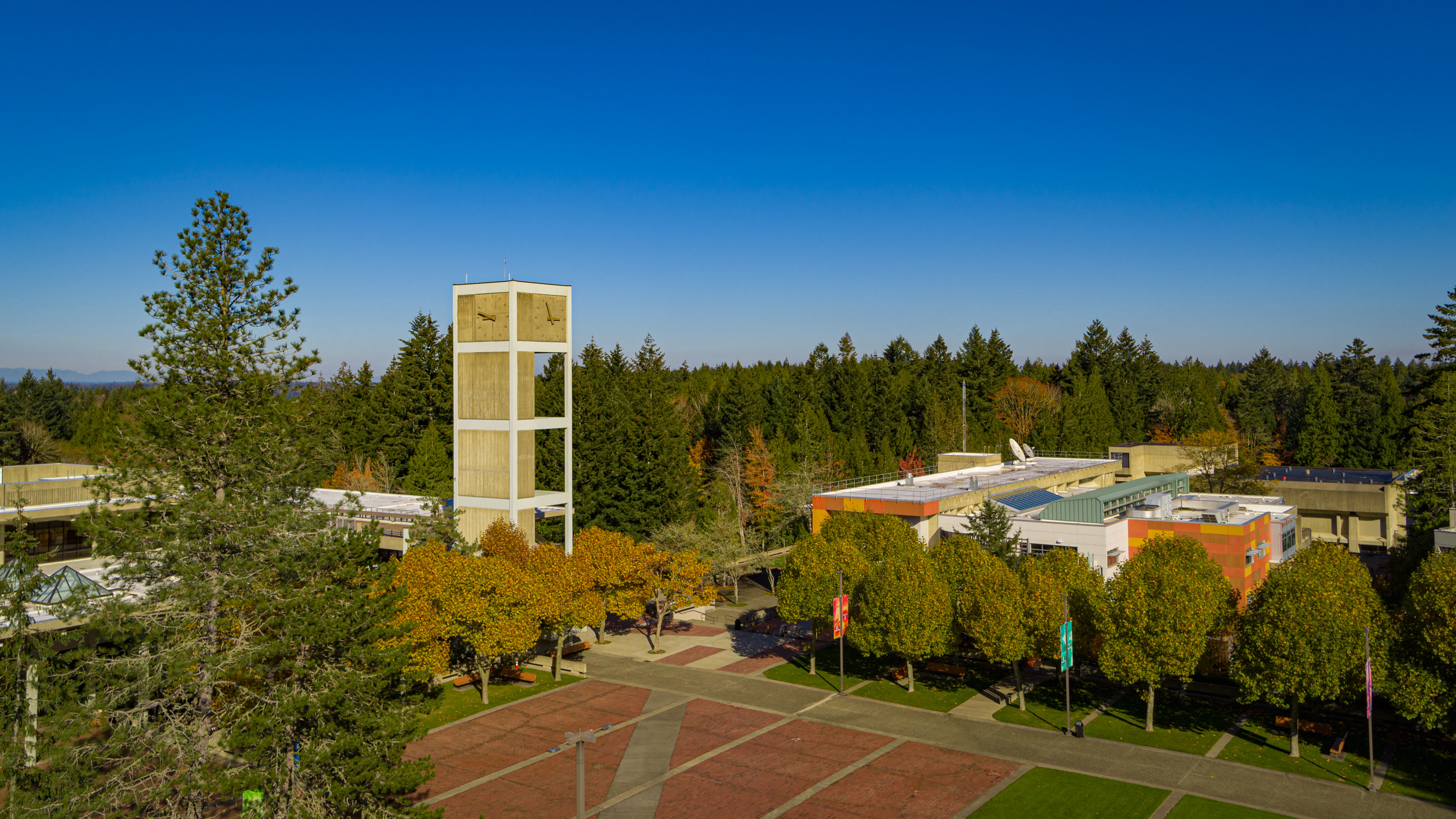 Evergreen Red Square 3